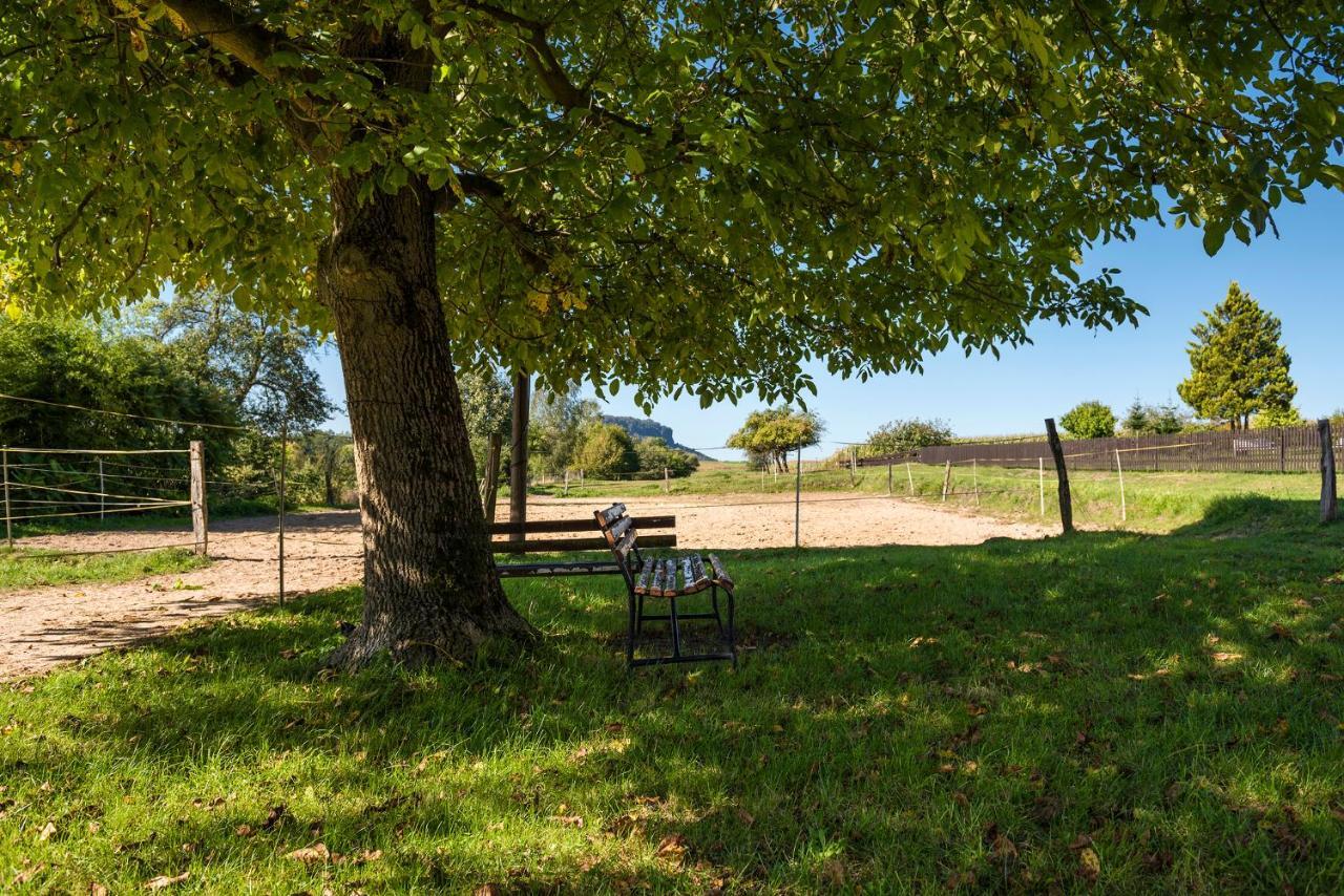 - Sauna, Balkon, Netflix, Parkplatz Porschdorf